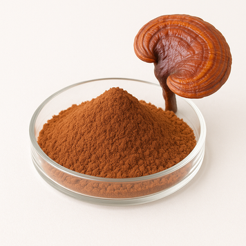 Екстракт рейші (полісахарид 40% бета-глюкан) - Reishi Extract (Polysaccharide 40% beta gluca: Рейші гриб BE-0063 фото
