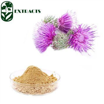 Екстракт Розторопшi 80 % силімарину / Milk Thistle Extract 80% silimarin BE-0105 фото