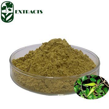 Екстракт гімнеми лісової 10:1 - Extract Gymnema Sylvestre 10:1: Гімнема, Лісова гімнема BE-0259 фото