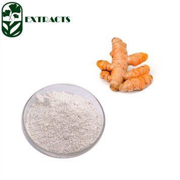 Екстракт діоскорея 10:1/Wild Yam Extract 10:1 BE-0029 фото