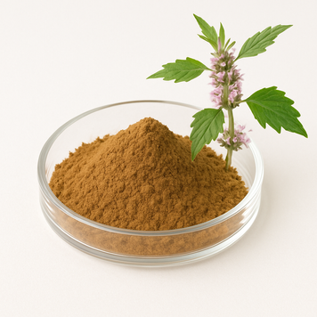 Экстракт пустырника 4:1 - Leonurus Extract 4:1: Пустырник, Мать-и-мачеха BE-0069 фото