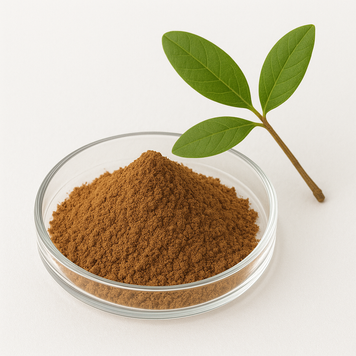 Экстракт пилокарпа микрофиллуса (листья) 10:1 - Pilocarpus microphyllus (leaf) extract 10:1 BE-0140 фото