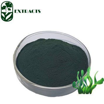 Екстракт спіруліни порошок - Spirulina Extract: Спіруліна, Синьо-зелені водорості BE-0130 фото