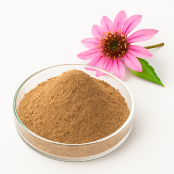 Екстракт ехінацеї 4% шикоринової кислоти - Echinacea extract Chicoric acid 4% BE-0033 фото