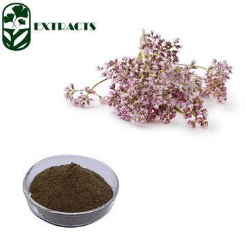 Валеріана 10:1 Екстракт 1 кг / Valeriana Extract 10:1 , - Екстракти для виробництва БАДів BE-0019 фото
