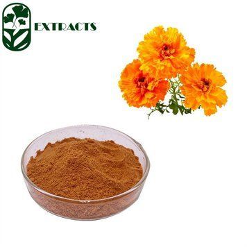 Экстракт лютеина из календулы - Lutein Extract of Calendula Flowers HD-0037 фото