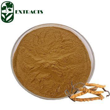 Екстракт кордицепса милітаріс - Cordyceps militaris: Кордицепс, Військовий гриб BE-0389 фото
