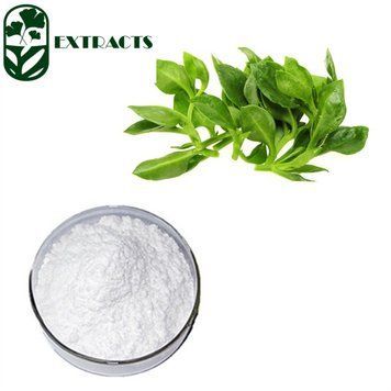 Екстракт Волотисте Андрографіса 10% / Extract Andrographis paniculata 10% BE-0544 фото