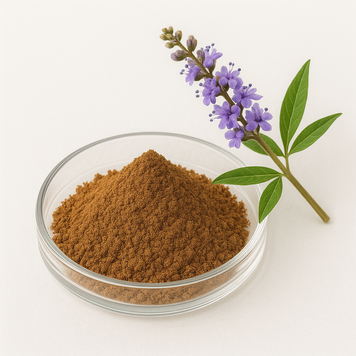 Екстракт вітекса 10:1 - Vitex Extract 10:1: Прутняк, Вітекс священний BE-0085 фото