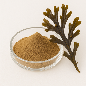 Екстракт фукуса 10:1 - Fucus extract 10:1: Морська капуста, Фукус BE-0074 фото