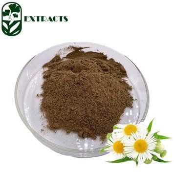 Екстракт ромашки - Chamomile Extract: Ромашка BE-0522 фото