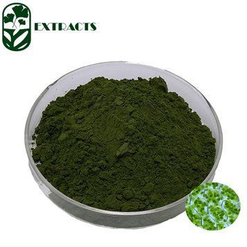 Органічний порошок хлорели - Organic Chlorella Powder: Хлорела BE-0143 фото