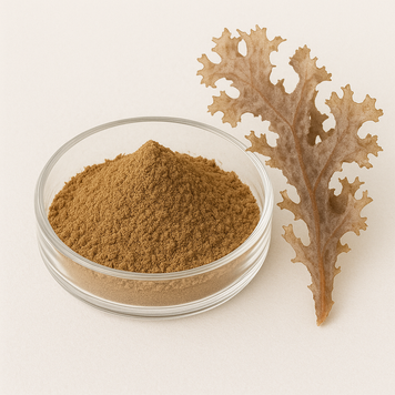 Екстракт цетрарії ісландської 30% - Cetraria Islandica Extract 30%: Ісландський мох, Цетрарія BE-0090 фото