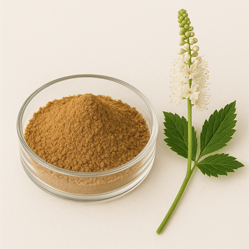 Екстракт цимицифуги 10:1 - Cimicifuga Extract 10:1: Клопогін, Цимицифуга BE-0128 фото
