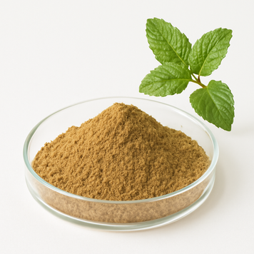 Екстракт меліси 10:1 - Melissa Extract 10:1: Меліса лікарська, Меліса BE-0011 фото