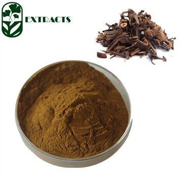 Экстракт сарканды гладкой - Sarcandra glabra Extract HD-0301 фото