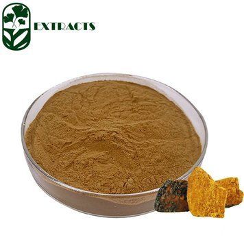 Екстракт чаги - Chaga Mushroom Extract: Березовий гриб, Чага BE-0043 фото