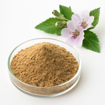 Екстракт алтей 10:1 - Althaea extract 10:1: Алтей лікарський, Маря біла, Алтей BE-0012 фото
