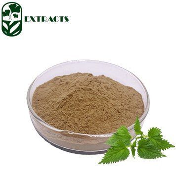 Экстракт корня крапивы - Nettle Root Extract: Крапива, Корень крапивы BE-0044 фото