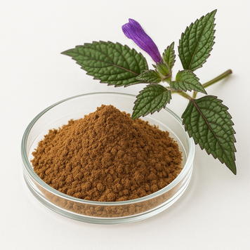 Экстракт стробиланту 10:1 - Strobilanthus crispus extract 10:1: Стробілант, Стробилянт BE-0113 фото