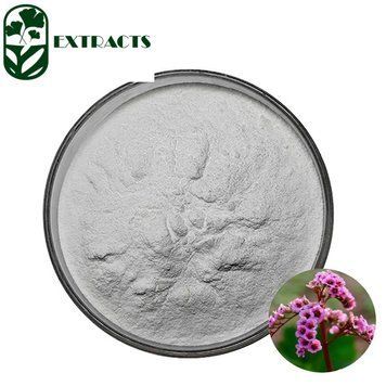 Екстракт родіоли рожевої 10:1 - Rhodiola rosea: Золотий корінь, Родіола BE-0577 фото