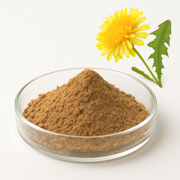 Екстракт кульбаби 10:1 - Dandelion extract 10:1: Кульбаба, Пухнастий цвіт BE-0049 фото