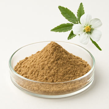 Екстракт перстачу білого 10:1 - Potentilla Alba Extract 10:1: Лапчатка біла, Перстач білий, Лапчатка BE-0052 фото
