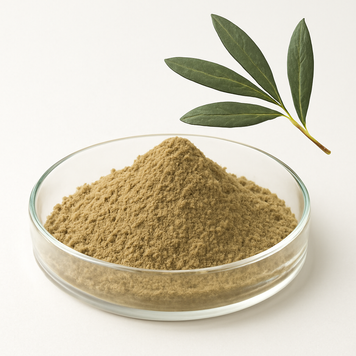 Екстракт листя оливи - Olive Leaf Extract: Олива, Лист оливи, Маслина, Оливкове дерево, Південне плодове дерево, Мирт BE-0053 фото