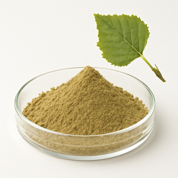 Екстракт листя берези 10:1 - Betula Leaf Extract 10:1: Береза, Лист берези BE-0054 фото