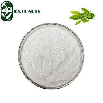 Екстракт зеленого чаю (50% поліфенолів) / Green tea extract (50% Polyphenols) BE-0446 фото