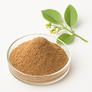 Екстракт гімнеми лісової з гімнемовою кислотою 25% HPLC - Gymnema Sylvestre Extract Gymnemic Acid 25% HPLC, Джимнема BE-0258 фото